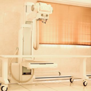 photo_5904559015650774137_y